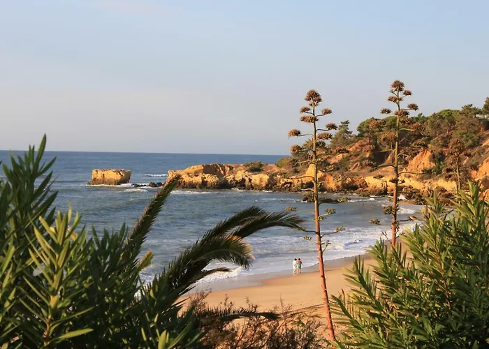 Apartament 5 Minutes Walk From The *